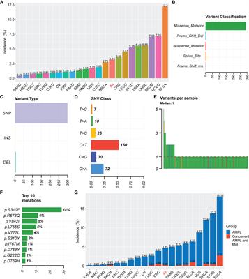 Associations of HER2 Mutation With Immune-Related Features and Immunotherapy Outcomes in Solid Tumors